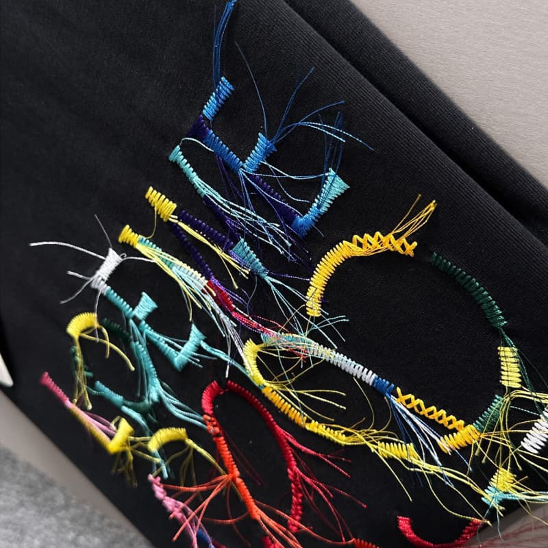 Camiseta bordada con flecos de arcoíris