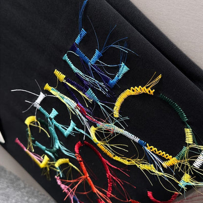 Camiseta bordada con flecos de arcoíris